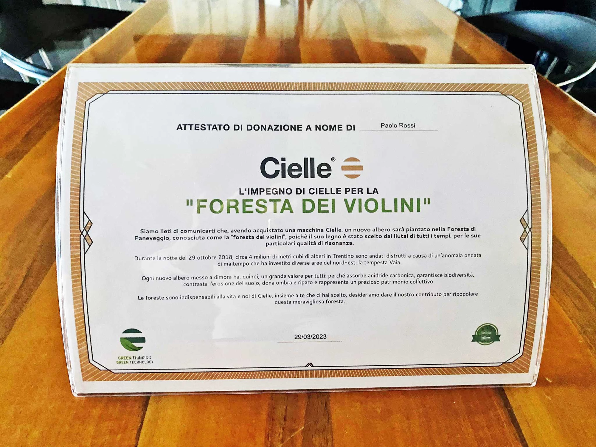 Cielle's commitment to sustainability