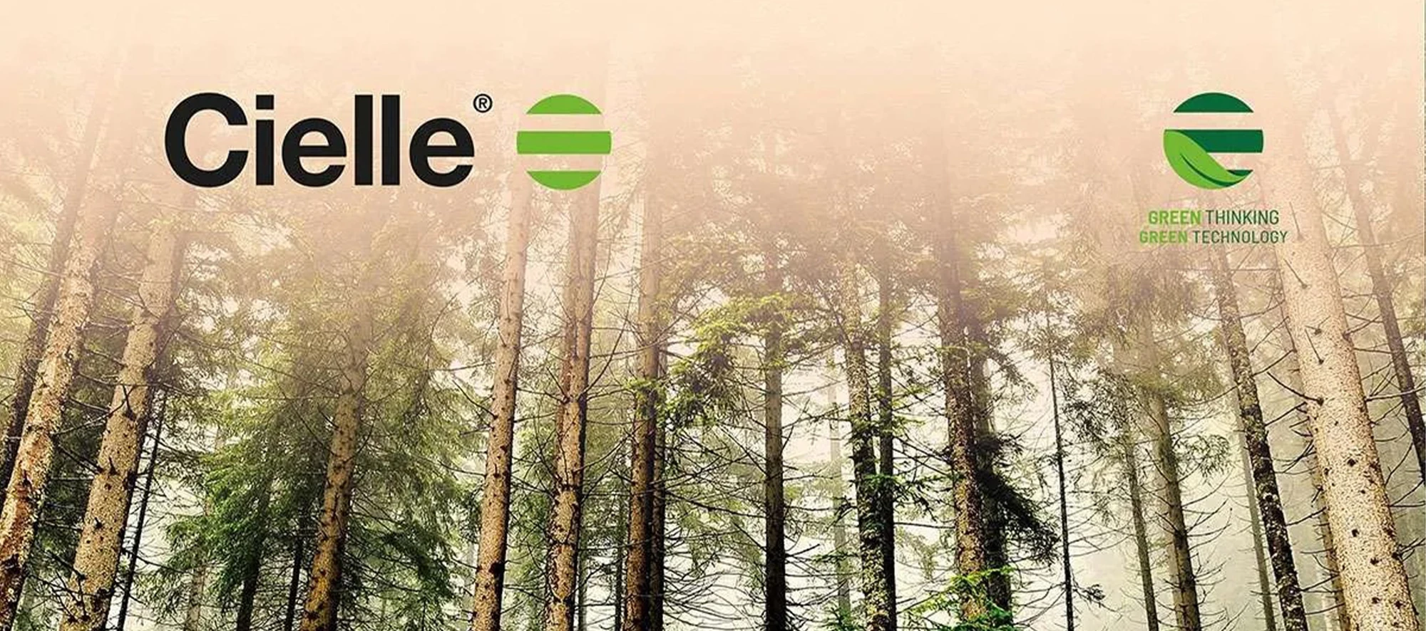 Développement durable de l'entreprise Cielle